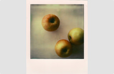 Apples - Polaroid by Barry McCullough